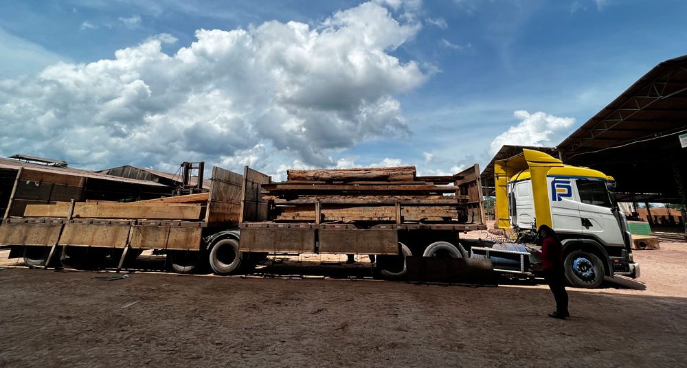 Careful Loading: Our woods are carefully loaded for transport, a complex task given their heavy nature. This process is essential to ensure our pieces arrive safely and intact at their destination, ready to be transformed into furniture.