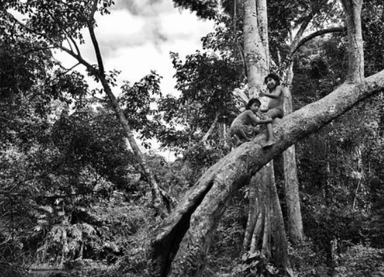 Criador: © Sebastião SALGADO / Amazonas images Direitos autorais: © Sebastiao Salgado/Amazonas/nbpictures